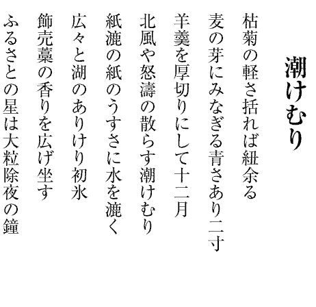 潮けむり
枯菊の軽さ括れば紐余る
麦の芽にみなぎる青さあり二寸
羊羹を厚切りにして十二月
北風や怒濤の散らす潮けむり
紙漉の紙のうすさに水を漉く
広々と湖のありけり初氷
飾売藁の香りを広げ坐す
ふるさとの星は大粒除夜の鐘

