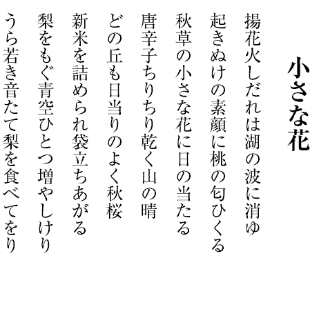 小さな花
揚花火しだれは湖の波に消ゆ
起きぬけの素顔に桃の匂ひくる
秋草の小さな花に日の当たる
唐辛子ちりちり乾く山の晴
どの丘も日当りのよく秋桜
新米を詰められ袋立ちあがる
梨をもぐ青空ひとつ増やしけり
うら若き音たて梨を食べてをり

